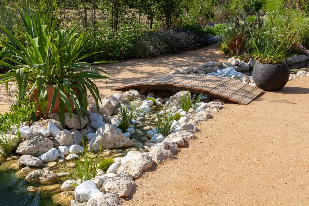 Jardin aménagé